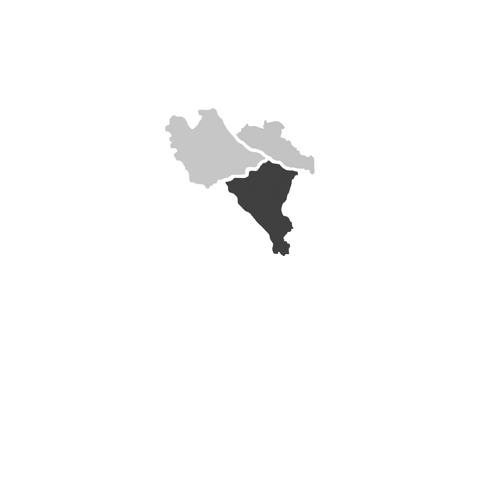 Fondazione della Comunità